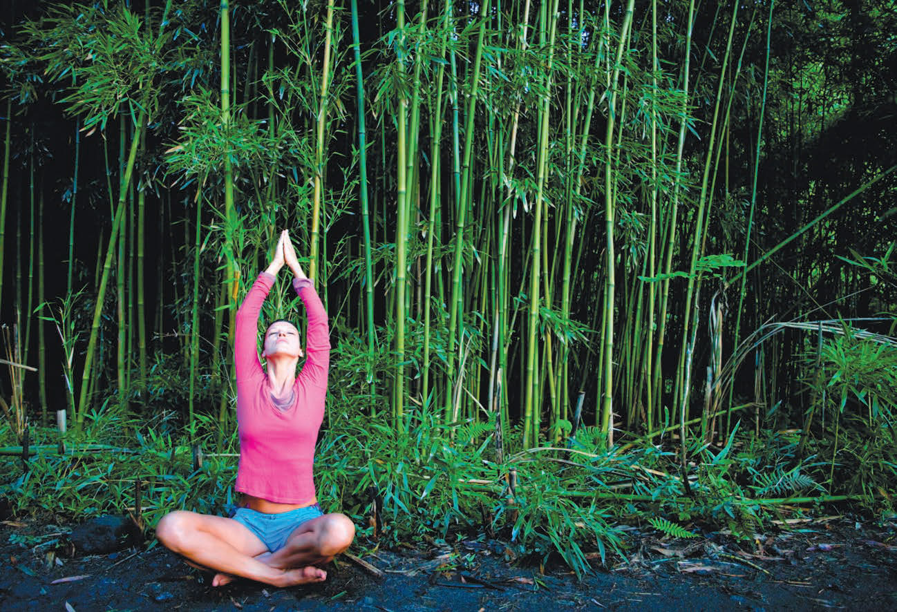 Yogi_tradition_3
