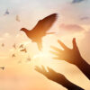 A Deeper Look at Forgiveness